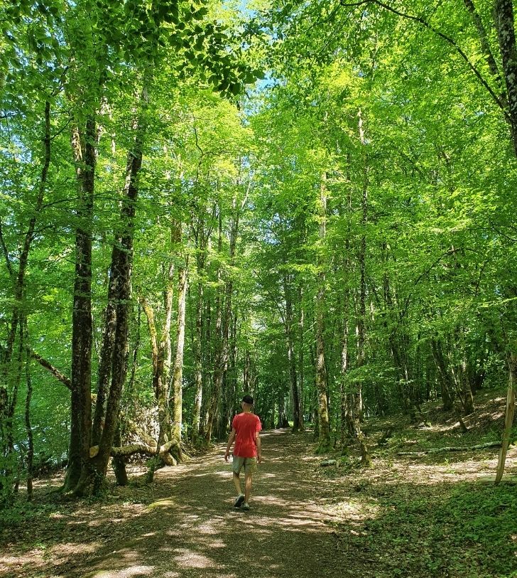 la haute marne paysage