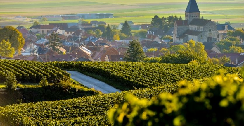 les coteaux de la marne