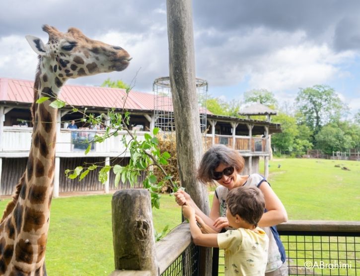parc animalier activité moselle