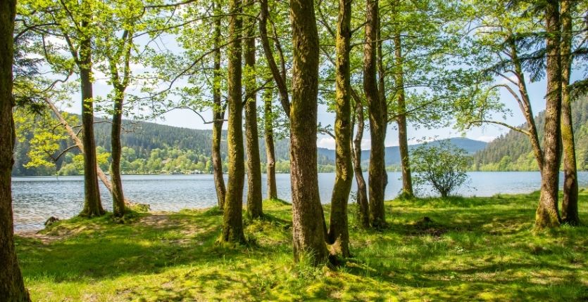 que faire dans les vosges