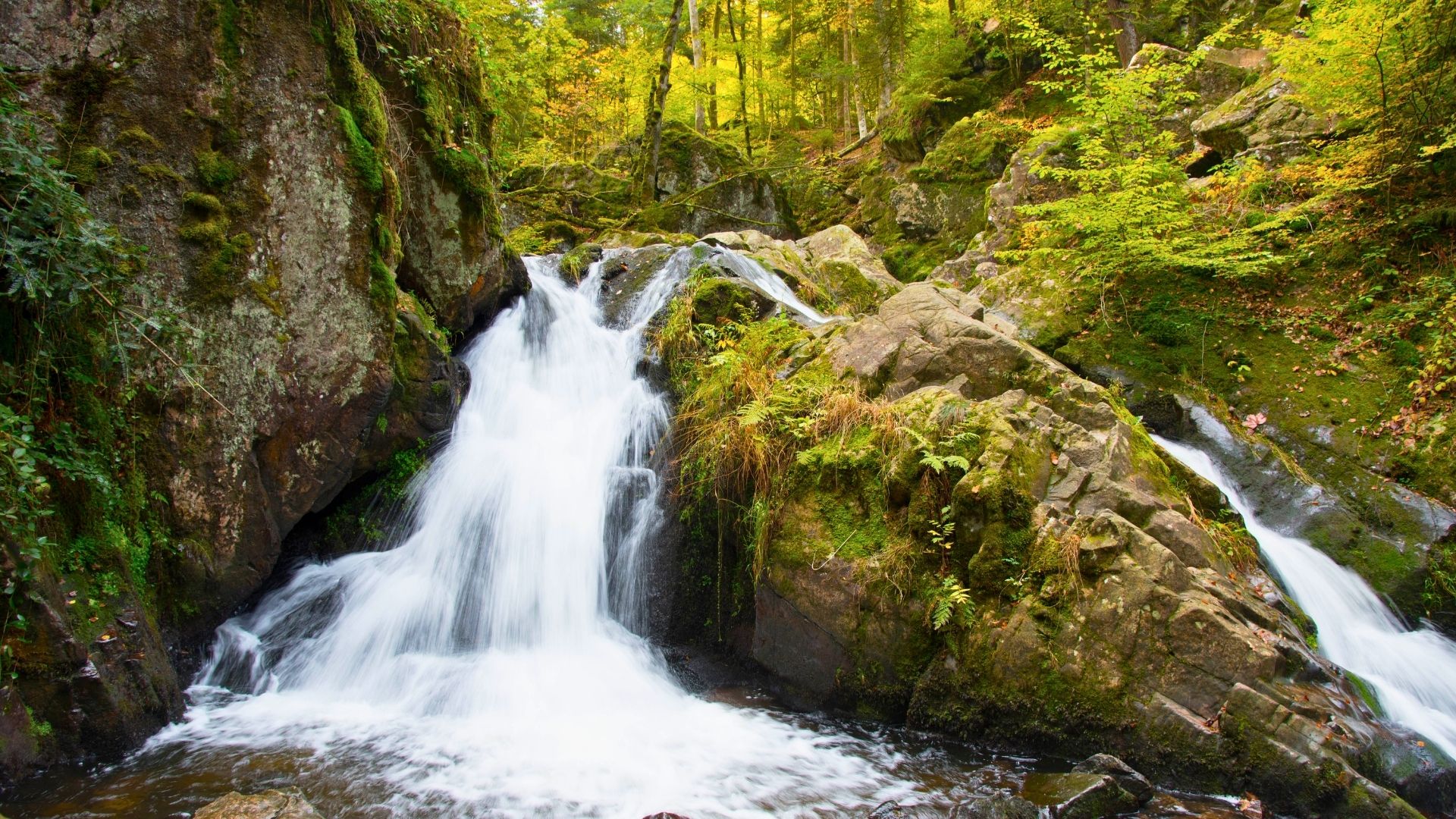 cascade de tendon